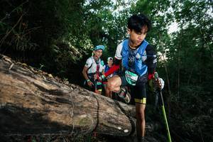 BIB: 
                            <button type="button" onclick="openModal(27959932)" class="btn btn-primary btn-sm float-right btn-popup" data-toggle="modal" data-target=".modal-high-quality">
                        <i class="fas fa-shopping-cart"></i> Add to Cart
                    </button>
                                            <button type="button" onclick="isThisMe(27959932, true)" class="btn btn-success btn-sm float-right btn-popup btn-isme hidden" data-toggle="tooltip" data-placement="bottom" title="นี่คือรูปของคุณใช่ไหม คลิกที่นี่เพื่อเอาเข้าอัลบั้ม">
                        <i class="fas fa-plus"></i> Add to album
                    </button>
                    <button type="button" onclick="isThisMe(27959932, false)" class="btn btn-warning btn-sm float-right btn-popup btn-isnotme hidden">
                        <i class="fas fa-ban"></i> Remove from album
                    </button>