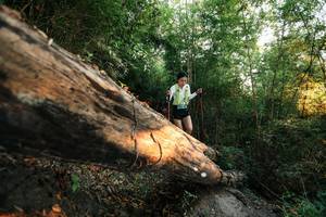 BIB: 
                            <button type="button" onclick="openModal(27948022)" class="btn btn-primary btn-sm float-right btn-popup" data-toggle="modal" data-target=".modal-high-quality">
                        <i class="fas fa-shopping-cart"></i> Add to Cart
                    </button>
                                            <button type="button" onclick="isThisMe(27948022, true)" class="btn btn-success btn-sm float-right btn-popup btn-isme hidden" data-toggle="tooltip" data-placement="bottom" title="นี่คือรูปของคุณใช่ไหม คลิกที่นี่เพื่อเอาเข้าอัลบั้ม">
                        <i class="fas fa-plus"></i> Add to album
                    </button>
                    <button type="button" onclick="isThisMe(27948022, false)" class="btn btn-warning btn-sm float-right btn-popup btn-isnotme hidden">
                        <i class="fas fa-ban"></i> Remove from album
                    </button>