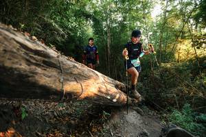 BIB: 
                            <button type="button" onclick="openModal(27941612)" class="btn btn-primary btn-sm float-right btn-popup" data-toggle="modal" data-target=".modal-high-quality">
                        <i class="fas fa-shopping-cart"></i> Add to Cart
                    </button>
                                            <button type="button" onclick="isThisMe(27941612, true)" class="btn btn-success btn-sm float-right btn-popup btn-isme hidden" data-toggle="tooltip" data-placement="bottom" title="นี่คือรูปของคุณใช่ไหม คลิกที่นี่เพื่อเอาเข้าอัลบั้ม">
                        <i class="fas fa-plus"></i> Add to album
                    </button>
                    <button type="button" onclick="isThisMe(27941612, false)" class="btn btn-warning btn-sm float-right btn-popup btn-isnotme hidden">
                        <i class="fas fa-ban"></i> Remove from album
                    </button>