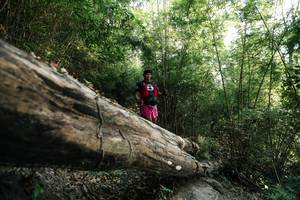 BIB: 
                            <button type="button" onclick="openModal(27935293)" class="btn btn-primary btn-sm float-right btn-popup" data-toggle="modal" data-target=".modal-high-quality">
                        <i class="fas fa-shopping-cart"></i> Add to Cart
                    </button>
                                            <button type="button" onclick="isThisMe(27935293, true)" class="btn btn-success btn-sm float-right btn-popup btn-isme hidden" data-toggle="tooltip" data-placement="bottom" title="นี่คือรูปของคุณใช่ไหม คลิกที่นี่เพื่อเอาเข้าอัลบั้ม">
                        <i class="fas fa-plus"></i> Add to album
                    </button>
                    <button type="button" onclick="isThisMe(27935293, false)" class="btn btn-warning btn-sm float-right btn-popup btn-isnotme hidden">
                        <i class="fas fa-ban"></i> Remove from album
                    </button>