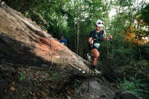 BIB: 
                            <button type="button" onclick="openModal(27958537)" class="btn btn-primary btn-sm float-right btn-popup" data-toggle="modal" data-target=".modal-high-quality">
                        <i class="fas fa-shopping-cart"></i> Add to Cart
                    </button>
                                            <button type="button" onclick="isThisMe(27958537, true)" class="btn btn-success btn-sm float-right btn-popup btn-isme hidden" data-toggle="tooltip" data-placement="bottom" title="นี่คือรูปของคุณใช่ไหม คลิกที่นี่เพื่อเอาเข้าอัลบั้ม">
                        <i class="fas fa-plus"></i> Add to album
                    </button>
                    <button type="button" onclick="isThisMe(27958537, false)" class="btn btn-warning btn-sm float-right btn-popup btn-isnotme hidden">
                        <i class="fas fa-ban"></i> Remove from album
                    </button>