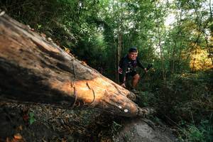 BIB: 
                            <button type="button" onclick="openModal(27948161)" class="btn btn-primary btn-sm float-right btn-popup" data-toggle="modal" data-target=".modal-high-quality">
                        <i class="fas fa-shopping-cart"></i> Add to Cart
                    </button>
                                            <button type="button" onclick="isThisMe(27948161, true)" class="btn btn-success btn-sm float-right btn-popup btn-isme hidden" data-toggle="tooltip" data-placement="bottom" title="นี่คือรูปของคุณใช่ไหม คลิกที่นี่เพื่อเอาเข้าอัลบั้ม">
                        <i class="fas fa-plus"></i> Add to album
                    </button>
                    <button type="button" onclick="isThisMe(27948161, false)" class="btn btn-warning btn-sm float-right btn-popup btn-isnotme hidden">
                        <i class="fas fa-ban"></i> Remove from album
                    </button>