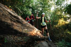 BIB: 
                            <button type="button" onclick="openModal(27938542)" class="btn btn-primary btn-sm float-right btn-popup" data-toggle="modal" data-target=".modal-high-quality">
                        <i class="fas fa-shopping-cart"></i> Add to Cart
                    </button>
                                            <button type="button" onclick="isThisMe(27938542, true)" class="btn btn-success btn-sm float-right btn-popup btn-isme hidden" data-toggle="tooltip" data-placement="bottom" title="นี่คือรูปของคุณใช่ไหม คลิกที่นี่เพื่อเอาเข้าอัลบั้ม">
                        <i class="fas fa-plus"></i> Add to album
                    </button>
                    <button type="button" onclick="isThisMe(27938542, false)" class="btn btn-warning btn-sm float-right btn-popup btn-isnotme hidden">
                        <i class="fas fa-ban"></i> Remove from album
                    </button>