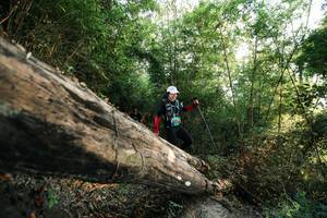 BIB: 
                            <button type="button" onclick="openModal(27934819)" class="btn btn-primary btn-sm float-right btn-popup" data-toggle="modal" data-target=".modal-high-quality">
                        <i class="fas fa-shopping-cart"></i> Add to Cart
                    </button>
                                            <button type="button" onclick="isThisMe(27934819, true)" class="btn btn-success btn-sm float-right btn-popup btn-isme hidden" data-toggle="tooltip" data-placement="bottom" title="นี่คือรูปของคุณใช่ไหม คลิกที่นี่เพื่อเอาเข้าอัลบั้ม">
                        <i class="fas fa-plus"></i> Add to album
                    </button>
                    <button type="button" onclick="isThisMe(27934819, false)" class="btn btn-warning btn-sm float-right btn-popup btn-isnotme hidden">
                        <i class="fas fa-ban"></i> Remove from album
                    </button>