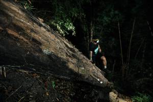 BIB: 
                            <button type="button" onclick="openModal(27965054)" class="btn btn-primary btn-sm float-right btn-popup" data-toggle="modal" data-target=".modal-high-quality">
                        <i class="fas fa-shopping-cart"></i> Add to Cart
                    </button>
                                            <button type="button" onclick="isThisMe(27965054, true)" class="btn btn-success btn-sm float-right btn-popup btn-isme hidden" data-toggle="tooltip" data-placement="bottom" title="นี่คือรูปของคุณใช่ไหม คลิกที่นี่เพื่อเอาเข้าอัลบั้ม">
                        <i class="fas fa-plus"></i> Add to album
                    </button>
                    <button type="button" onclick="isThisMe(27965054, false)" class="btn btn-warning btn-sm float-right btn-popup btn-isnotme hidden">
                        <i class="fas fa-ban"></i> Remove from album
                    </button>