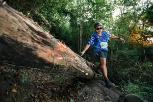 BIB: 
                            <button type="button" onclick="openModal(27958521)" class="btn btn-primary btn-sm float-right btn-popup" data-toggle="modal" data-target=".modal-high-quality">
                        <i class="fas fa-shopping-cart"></i> Add to Cart
                    </button>
                                            <button type="button" onclick="isThisMe(27958521, true)" class="btn btn-success btn-sm float-right btn-popup btn-isme hidden" data-toggle="tooltip" data-placement="bottom" title="นี่คือรูปของคุณใช่ไหม คลิกที่นี่เพื่อเอาเข้าอัลบั้ม">
                        <i class="fas fa-plus"></i> Add to album
                    </button>
                    <button type="button" onclick="isThisMe(27958521, false)" class="btn btn-warning btn-sm float-right btn-popup btn-isnotme hidden">
                        <i class="fas fa-ban"></i> Remove from album
                    </button>