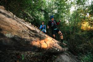 BIB: 
                            <button type="button" onclick="openModal(27948960)" class="btn btn-primary btn-sm float-right btn-popup" data-toggle="modal" data-target=".modal-high-quality">
                        <i class="fas fa-shopping-cart"></i> Add to Cart
                    </button>
                                            <button type="button" onclick="isThisMe(27948960, true)" class="btn btn-success btn-sm float-right btn-popup btn-isme hidden" data-toggle="tooltip" data-placement="bottom" title="นี่คือรูปของคุณใช่ไหม คลิกที่นี่เพื่อเอาเข้าอัลบั้ม">
                        <i class="fas fa-plus"></i> Add to album
                    </button>
                    <button type="button" onclick="isThisMe(27948960, false)" class="btn btn-warning btn-sm float-right btn-popup btn-isnotme hidden">
                        <i class="fas fa-ban"></i> Remove from album
                    </button>