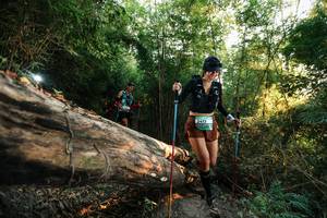 BIB: 
                            <button type="button" onclick="openModal(27936788)" class="btn btn-primary btn-sm float-right btn-popup" data-toggle="modal" data-target=".modal-high-quality">
                        <i class="fas fa-shopping-cart"></i> Add to Cart
                    </button>
                                            <button type="button" onclick="isThisMe(27936788, true)" class="btn btn-success btn-sm float-right btn-popup btn-isme hidden" data-toggle="tooltip" data-placement="bottom" title="นี่คือรูปของคุณใช่ไหม คลิกที่นี่เพื่อเอาเข้าอัลบั้ม">
                        <i class="fas fa-plus"></i> Add to album
                    </button>
                    <button type="button" onclick="isThisMe(27936788, false)" class="btn btn-warning btn-sm float-right btn-popup btn-isnotme hidden">
                        <i class="fas fa-ban"></i> Remove from album
                    </button>