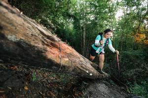 BIB: 
                            <button type="button" onclick="openModal(27958488)" class="btn btn-primary btn-sm float-right btn-popup" data-toggle="modal" data-target=".modal-high-quality">
                        <i class="fas fa-shopping-cart"></i> Add to Cart
                    </button>
                                            <button type="button" onclick="isThisMe(27958488, true)" class="btn btn-success btn-sm float-right btn-popup btn-isme hidden" data-toggle="tooltip" data-placement="bottom" title="นี่คือรูปของคุณใช่ไหม คลิกที่นี่เพื่อเอาเข้าอัลบั้ม">
                        <i class="fas fa-plus"></i> Add to album
                    </button>
                    <button type="button" onclick="isThisMe(27958488, false)" class="btn btn-warning btn-sm float-right btn-popup btn-isnotme hidden">
                        <i class="fas fa-ban"></i> Remove from album
                    </button>