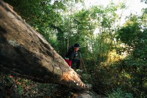 BIB: 
                            <button type="button" onclick="openModal(27938257)" class="btn btn-primary btn-sm float-right btn-popup" data-toggle="modal" data-target=".modal-high-quality">
                        <i class="fas fa-shopping-cart"></i> Add to Cart
                    </button>
                                            <button type="button" onclick="isThisMe(27938257, true)" class="btn btn-success btn-sm float-right btn-popup btn-isme hidden" data-toggle="tooltip" data-placement="bottom" title="นี่คือรูปของคุณใช่ไหม คลิกที่นี่เพื่อเอาเข้าอัลบั้ม">
                        <i class="fas fa-plus"></i> Add to album
                    </button>
                    <button type="button" onclick="isThisMe(27938257, false)" class="btn btn-warning btn-sm float-right btn-popup btn-isnotme hidden">
                        <i class="fas fa-ban"></i> Remove from album
                    </button>