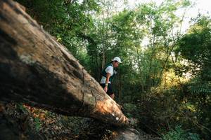 BIB: 
                            <button type="button" onclick="openModal(27938478)" class="btn btn-primary btn-sm float-right btn-popup" data-toggle="modal" data-target=".modal-high-quality">
                        <i class="fas fa-shopping-cart"></i> Add to Cart
                    </button>
                                            <button type="button" onclick="isThisMe(27938478, true)" class="btn btn-success btn-sm float-right btn-popup btn-isme hidden" data-toggle="tooltip" data-placement="bottom" title="นี่คือรูปของคุณใช่ไหม คลิกที่นี่เพื่อเอาเข้าอัลบั้ม">
                        <i class="fas fa-plus"></i> Add to album
                    </button>
                    <button type="button" onclick="isThisMe(27938478, false)" class="btn btn-warning btn-sm float-right btn-popup btn-isnotme hidden">
                        <i class="fas fa-ban"></i> Remove from album
                    </button>