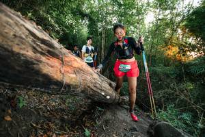 BIB: 
                            <button type="button" onclick="openModal(27958262)" class="btn btn-primary btn-sm float-right btn-popup" data-toggle="modal" data-target=".modal-high-quality">
                        <i class="fas fa-shopping-cart"></i> Add to Cart
                    </button>
                                            <button type="button" onclick="isThisMe(27958262, true)" class="btn btn-success btn-sm float-right btn-popup btn-isme hidden" data-toggle="tooltip" data-placement="bottom" title="นี่คือรูปของคุณใช่ไหม คลิกที่นี่เพื่อเอาเข้าอัลบั้ม">
                        <i class="fas fa-plus"></i> Add to album
                    </button>
                    <button type="button" onclick="isThisMe(27958262, false)" class="btn btn-warning btn-sm float-right btn-popup btn-isnotme hidden">
                        <i class="fas fa-ban"></i> Remove from album
                    </button>