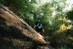 BIB: 
                            <button type="button" onclick="openModal(27937318)" class="btn btn-primary btn-sm float-right btn-popup" data-toggle="modal" data-target=".modal-high-quality">
                        <i class="fas fa-shopping-cart"></i> Add to Cart
                    </button>
                                            <button type="button" onclick="isThisMe(27937318, true)" class="btn btn-success btn-sm float-right btn-popup btn-isme hidden" data-toggle="tooltip" data-placement="bottom" title="นี่คือรูปของคุณใช่ไหม คลิกที่นี่เพื่อเอาเข้าอัลบั้ม">
                        <i class="fas fa-plus"></i> Add to album
                    </button>
                    <button type="button" onclick="isThisMe(27937318, false)" class="btn btn-warning btn-sm float-right btn-popup btn-isnotme hidden">
                        <i class="fas fa-ban"></i> Remove from album
                    </button>