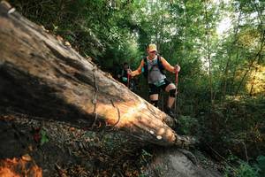 BIB: 
                            <button type="button" onclick="openModal(27944261)" class="btn btn-primary btn-sm float-right btn-popup" data-toggle="modal" data-target=".modal-high-quality">
                        <i class="fas fa-shopping-cart"></i> Add to Cart
                    </button>
                                            <button type="button" onclick="isThisMe(27944261, true)" class="btn btn-success btn-sm float-right btn-popup btn-isme hidden" data-toggle="tooltip" data-placement="bottom" title="นี่คือรูปของคุณใช่ไหม คลิกที่นี่เพื่อเอาเข้าอัลบั้ม">
                        <i class="fas fa-plus"></i> Add to album
                    </button>
                    <button type="button" onclick="isThisMe(27944261, false)" class="btn btn-warning btn-sm float-right btn-popup btn-isnotme hidden">
                        <i class="fas fa-ban"></i> Remove from album
                    </button>