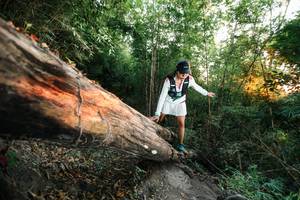 BIB: 
                            <button type="button" onclick="openModal(27958107)" class="btn btn-primary btn-sm float-right btn-popup" data-toggle="modal" data-target=".modal-high-quality">
                        <i class="fas fa-shopping-cart"></i> Add to Cart
                    </button>
                                            <button type="button" onclick="isThisMe(27958107, true)" class="btn btn-success btn-sm float-right btn-popup btn-isme hidden" data-toggle="tooltip" data-placement="bottom" title="นี่คือรูปของคุณใช่ไหม คลิกที่นี่เพื่อเอาเข้าอัลบั้ม">
                        <i class="fas fa-plus"></i> Add to album
                    </button>
                    <button type="button" onclick="isThisMe(27958107, false)" class="btn btn-warning btn-sm float-right btn-popup btn-isnotme hidden">
                        <i class="fas fa-ban"></i> Remove from album
                    </button>