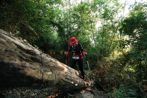 BIB: 
                            <button type="button" onclick="openModal(27935081)" class="btn btn-primary btn-sm float-right btn-popup" data-toggle="modal" data-target=".modal-high-quality">
                        <i class="fas fa-shopping-cart"></i> Add to Cart
                    </button>
                                            <button type="button" onclick="isThisMe(27935081, true)" class="btn btn-success btn-sm float-right btn-popup btn-isme hidden" data-toggle="tooltip" data-placement="bottom" title="นี่คือรูปของคุณใช่ไหม คลิกที่นี่เพื่อเอาเข้าอัลบั้ม">
                        <i class="fas fa-plus"></i> Add to album
                    </button>
                    <button type="button" onclick="isThisMe(27935081, false)" class="btn btn-warning btn-sm float-right btn-popup btn-isnotme hidden">
                        <i class="fas fa-ban"></i> Remove from album
                    </button>