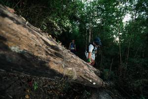 BIB: 
                            <button type="button" onclick="openModal(27959804)" class="btn btn-primary btn-sm float-right btn-popup" data-toggle="modal" data-target=".modal-high-quality">
                        <i class="fas fa-shopping-cart"></i> Add to Cart
                    </button>
                                            <button type="button" onclick="isThisMe(27959804, true)" class="btn btn-success btn-sm float-right btn-popup btn-isme hidden" data-toggle="tooltip" data-placement="bottom" title="นี่คือรูปของคุณใช่ไหม คลิกที่นี่เพื่อเอาเข้าอัลบั้ม">
                        <i class="fas fa-plus"></i> Add to album
                    </button>
                    <button type="button" onclick="isThisMe(27959804, false)" class="btn btn-warning btn-sm float-right btn-popup btn-isnotme hidden">
                        <i class="fas fa-ban"></i> Remove from album
                    </button>