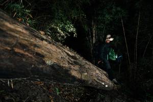 BIB: 
                            <button type="button" onclick="openModal(27965488)" class="btn btn-primary btn-sm float-right btn-popup" data-toggle="modal" data-target=".modal-high-quality">
                        <i class="fas fa-shopping-cart"></i> Add to Cart
                    </button>
                                            <button type="button" onclick="isThisMe(27965488, true)" class="btn btn-success btn-sm float-right btn-popup btn-isme hidden" data-toggle="tooltip" data-placement="bottom" title="นี่คือรูปของคุณใช่ไหม คลิกที่นี่เพื่อเอาเข้าอัลบั้ม">
                        <i class="fas fa-plus"></i> Add to album
                    </button>
                    <button type="button" onclick="isThisMe(27965488, false)" class="btn btn-warning btn-sm float-right btn-popup btn-isnotme hidden">
                        <i class="fas fa-ban"></i> Remove from album
                    </button>