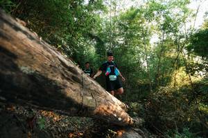 BIB: 
                            <button type="button" onclick="openModal(27937317)" class="btn btn-primary btn-sm float-right btn-popup" data-toggle="modal" data-target=".modal-high-quality">
                        <i class="fas fa-shopping-cart"></i> Add to Cart
                    </button>
                                            <button type="button" onclick="isThisMe(27937317, true)" class="btn btn-success btn-sm float-right btn-popup btn-isme hidden" data-toggle="tooltip" data-placement="bottom" title="นี่คือรูปของคุณใช่ไหม คลิกที่นี่เพื่อเอาเข้าอัลบั้ม">
                        <i class="fas fa-plus"></i> Add to album
                    </button>
                    <button type="button" onclick="isThisMe(27937317, false)" class="btn btn-warning btn-sm float-right btn-popup btn-isnotme hidden">
                        <i class="fas fa-ban"></i> Remove from album
                    </button>