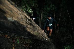 BIB: 
                            <button type="button" onclick="openModal(27963382)" class="btn btn-primary btn-sm float-right btn-popup" data-toggle="modal" data-target=".modal-high-quality">
                        <i class="fas fa-shopping-cart"></i> Add to Cart
                    </button>
                                            <button type="button" onclick="isThisMe(27963382, true)" class="btn btn-success btn-sm float-right btn-popup btn-isme hidden" data-toggle="tooltip" data-placement="bottom" title="นี่คือรูปของคุณใช่ไหม คลิกที่นี่เพื่อเอาเข้าอัลบั้ม">
                        <i class="fas fa-plus"></i> Add to album
                    </button>
                    <button type="button" onclick="isThisMe(27963382, false)" class="btn btn-warning btn-sm float-right btn-popup btn-isnotme hidden">
                        <i class="fas fa-ban"></i> Remove from album
                    </button>