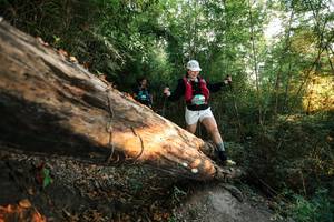 BIB: 
                            <button type="button" onclick="openModal(27945366)" class="btn btn-primary btn-sm float-right btn-popup" data-toggle="modal" data-target=".modal-high-quality">
                        <i class="fas fa-shopping-cart"></i> Add to Cart
                    </button>
                                            <button type="button" onclick="isThisMe(27945366, true)" class="btn btn-success btn-sm float-right btn-popup btn-isme hidden" data-toggle="tooltip" data-placement="bottom" title="นี่คือรูปของคุณใช่ไหม คลิกที่นี่เพื่อเอาเข้าอัลบั้ม">
                        <i class="fas fa-plus"></i> Add to album
                    </button>
                    <button type="button" onclick="isThisMe(27945366, false)" class="btn btn-warning btn-sm float-right btn-popup btn-isnotme hidden">
                        <i class="fas fa-ban"></i> Remove from album
                    </button>