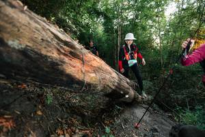 BIB: 
                            <button type="button" onclick="openModal(27958348)" class="btn btn-primary btn-sm float-right btn-popup" data-toggle="modal" data-target=".modal-high-quality">
                        <i class="fas fa-shopping-cart"></i> Add to Cart
                    </button>
                                            <button type="button" onclick="isThisMe(27958348, true)" class="btn btn-success btn-sm float-right btn-popup btn-isme hidden" data-toggle="tooltip" data-placement="bottom" title="นี่คือรูปของคุณใช่ไหม คลิกที่นี่เพื่อเอาเข้าอัลบั้ม">
                        <i class="fas fa-plus"></i> Add to album
                    </button>
                    <button type="button" onclick="isThisMe(27958348, false)" class="btn btn-warning btn-sm float-right btn-popup btn-isnotme hidden">
                        <i class="fas fa-ban"></i> Remove from album
                    </button>