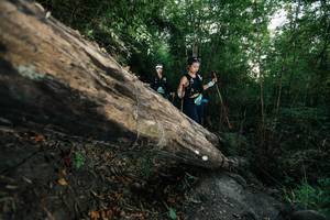 BIB: 
                            <button type="button" onclick="openModal(27959047)" class="btn btn-primary btn-sm float-right btn-popup" data-toggle="modal" data-target=".modal-high-quality">
                        <i class="fas fa-shopping-cart"></i> Add to Cart
                    </button>
                                            <button type="button" onclick="isThisMe(27959047, true)" class="btn btn-success btn-sm float-right btn-popup btn-isme hidden" data-toggle="tooltip" data-placement="bottom" title="นี่คือรูปของคุณใช่ไหม คลิกที่นี่เพื่อเอาเข้าอัลบั้ม">
                        <i class="fas fa-plus"></i> Add to album
                    </button>
                    <button type="button" onclick="isThisMe(27959047, false)" class="btn btn-warning btn-sm float-right btn-popup btn-isnotme hidden">
                        <i class="fas fa-ban"></i> Remove from album
                    </button>