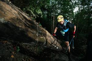 BIB: 
                            <button type="button" onclick="openModal(27960329)" class="btn btn-primary btn-sm float-right btn-popup" data-toggle="modal" data-target=".modal-high-quality">
                        <i class="fas fa-shopping-cart"></i> Add to Cart
                    </button>
                                            <button type="button" onclick="isThisMe(27960329, true)" class="btn btn-success btn-sm float-right btn-popup btn-isme hidden" data-toggle="tooltip" data-placement="bottom" title="นี่คือรูปของคุณใช่ไหม คลิกที่นี่เพื่อเอาเข้าอัลบั้ม">
                        <i class="fas fa-plus"></i> Add to album
                    </button>
                    <button type="button" onclick="isThisMe(27960329, false)" class="btn btn-warning btn-sm float-right btn-popup btn-isnotme hidden">
                        <i class="fas fa-ban"></i> Remove from album
                    </button>