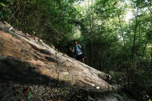 BIB: 
                            <button type="button" onclick="openModal(27934620)" class="btn btn-primary btn-sm float-right btn-popup" data-toggle="modal" data-target=".modal-high-quality">
                        <i class="fas fa-shopping-cart"></i> Add to Cart
                    </button>
                                            <button type="button" onclick="isThisMe(27934620, true)" class="btn btn-success btn-sm float-right btn-popup btn-isme hidden" data-toggle="tooltip" data-placement="bottom" title="นี่คือรูปของคุณใช่ไหม คลิกที่นี่เพื่อเอาเข้าอัลบั้ม">
                        <i class="fas fa-plus"></i> Add to album
                    </button>
                    <button type="button" onclick="isThisMe(27934620, false)" class="btn btn-warning btn-sm float-right btn-popup btn-isnotme hidden">
                        <i class="fas fa-ban"></i> Remove from album
                    </button>