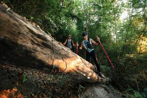 BIB: 
                            <button type="button" onclick="openModal(27944440)" class="btn btn-primary btn-sm float-right btn-popup" data-toggle="modal" data-target=".modal-high-quality">
                        <i class="fas fa-shopping-cart"></i> Add to Cart
                    </button>
                                            <button type="button" onclick="isThisMe(27944440, true)" class="btn btn-success btn-sm float-right btn-popup btn-isme hidden" data-toggle="tooltip" data-placement="bottom" title="นี่คือรูปของคุณใช่ไหม คลิกที่นี่เพื่อเอาเข้าอัลบั้ม">
                        <i class="fas fa-plus"></i> Add to album
                    </button>
                    <button type="button" onclick="isThisMe(27944440, false)" class="btn btn-warning btn-sm float-right btn-popup btn-isnotme hidden">
                        <i class="fas fa-ban"></i> Remove from album
                    </button>