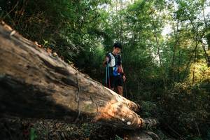 BIB: 
                            <button type="button" onclick="openModal(27938634)" class="btn btn-primary btn-sm float-right btn-popup" data-toggle="modal" data-target=".modal-high-quality">
                        <i class="fas fa-shopping-cart"></i> Add to Cart
                    </button>
                                            <button type="button" onclick="isThisMe(27938634, true)" class="btn btn-success btn-sm float-right btn-popup btn-isme hidden" data-toggle="tooltip" data-placement="bottom" title="นี่คือรูปของคุณใช่ไหม คลิกที่นี่เพื่อเอาเข้าอัลบั้ม">
                        <i class="fas fa-plus"></i> Add to album
                    </button>
                    <button type="button" onclick="isThisMe(27938634, false)" class="btn btn-warning btn-sm float-right btn-popup btn-isnotme hidden">
                        <i class="fas fa-ban"></i> Remove from album
                    </button>