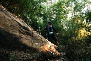 BIB: 
                            <button type="button" onclick="openModal(27938597)" class="btn btn-primary btn-sm float-right btn-popup" data-toggle="modal" data-target=".modal-high-quality">
                        <i class="fas fa-shopping-cart"></i> Add to Cart
                    </button>
                                            <button type="button" onclick="isThisMe(27938597, true)" class="btn btn-success btn-sm float-right btn-popup btn-isme hidden" data-toggle="tooltip" data-placement="bottom" title="นี่คือรูปของคุณใช่ไหม คลิกที่นี่เพื่อเอาเข้าอัลบั้ม">
                        <i class="fas fa-plus"></i> Add to album
                    </button>
                    <button type="button" onclick="isThisMe(27938597, false)" class="btn btn-warning btn-sm float-right btn-popup btn-isnotme hidden">
                        <i class="fas fa-ban"></i> Remove from album
                    </button>