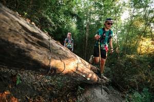 BIB: 
                            <button type="button" onclick="openModal(27943281)" class="btn btn-primary btn-sm float-right btn-popup" data-toggle="modal" data-target=".modal-high-quality">
                        <i class="fas fa-shopping-cart"></i> Add to Cart
                    </button>
                                            <button type="button" onclick="isThisMe(27943281, true)" class="btn btn-success btn-sm float-right btn-popup btn-isme hidden" data-toggle="tooltip" data-placement="bottom" title="นี่คือรูปของคุณใช่ไหม คลิกที่นี่เพื่อเอาเข้าอัลบั้ม">
                        <i class="fas fa-plus"></i> Add to album
                    </button>
                    <button type="button" onclick="isThisMe(27943281, false)" class="btn btn-warning btn-sm float-right btn-popup btn-isnotme hidden">
                        <i class="fas fa-ban"></i> Remove from album
                    </button>