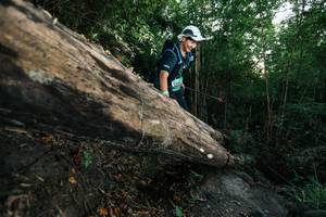 BIB: 
                            <button type="button" onclick="openModal(27959097)" class="btn btn-primary btn-sm float-right btn-popup" data-toggle="modal" data-target=".modal-high-quality">
                        <i class="fas fa-shopping-cart"></i> Add to Cart
                    </button>
                                            <button type="button" onclick="isThisMe(27959097, true)" class="btn btn-success btn-sm float-right btn-popup btn-isme hidden" data-toggle="tooltip" data-placement="bottom" title="นี่คือรูปของคุณใช่ไหม คลิกที่นี่เพื่อเอาเข้าอัลบั้ม">
                        <i class="fas fa-plus"></i> Add to album
                    </button>
                    <button type="button" onclick="isThisMe(27959097, false)" class="btn btn-warning btn-sm float-right btn-popup btn-isnotme hidden">
                        <i class="fas fa-ban"></i> Remove from album
                    </button>