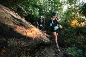 BIB: 
                            <button type="button" onclick="openModal(27949474)" class="btn btn-primary btn-sm float-right btn-popup" data-toggle="modal" data-target=".modal-high-quality">
                        <i class="fas fa-shopping-cart"></i> Add to Cart
                    </button>
                                            <button type="button" onclick="isThisMe(27949474, true)" class="btn btn-success btn-sm float-right btn-popup btn-isme hidden" data-toggle="tooltip" data-placement="bottom" title="นี่คือรูปของคุณใช่ไหม คลิกที่นี่เพื่อเอาเข้าอัลบั้ม">
                        <i class="fas fa-plus"></i> Add to album
                    </button>
                    <button type="button" onclick="isThisMe(27949474, false)" class="btn btn-warning btn-sm float-right btn-popup btn-isnotme hidden">
                        <i class="fas fa-ban"></i> Remove from album
                    </button>