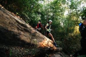 BIB: 
                            <button type="button" onclick="openModal(27938537)" class="btn btn-primary btn-sm float-right btn-popup" data-toggle="modal" data-target=".modal-high-quality">
                        <i class="fas fa-shopping-cart"></i> Add to Cart
                    </button>
                                            <button type="button" onclick="isThisMe(27938537, true)" class="btn btn-success btn-sm float-right btn-popup btn-isme hidden" data-toggle="tooltip" data-placement="bottom" title="นี่คือรูปของคุณใช่ไหม คลิกที่นี่เพื่อเอาเข้าอัลบั้ม">
                        <i class="fas fa-plus"></i> Add to album
                    </button>
                    <button type="button" onclick="isThisMe(27938537, false)" class="btn btn-warning btn-sm float-right btn-popup btn-isnotme hidden">
                        <i class="fas fa-ban"></i> Remove from album
                    </button>