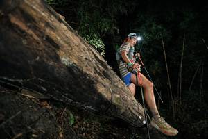 BIB: 
                            <button type="button" onclick="openModal(27964200)" class="btn btn-primary btn-sm float-right btn-popup" data-toggle="modal" data-target=".modal-high-quality">
                        <i class="fas fa-shopping-cart"></i> Add to Cart
                    </button>
                                            <button type="button" onclick="isThisMe(27964200, true)" class="btn btn-success btn-sm float-right btn-popup btn-isme hidden" data-toggle="tooltip" data-placement="bottom" title="นี่คือรูปของคุณใช่ไหม คลิกที่นี่เพื่อเอาเข้าอัลบั้ม">
                        <i class="fas fa-plus"></i> Add to album
                    </button>
                    <button type="button" onclick="isThisMe(27964200, false)" class="btn btn-warning btn-sm float-right btn-popup btn-isnotme hidden">
                        <i class="fas fa-ban"></i> Remove from album
                    </button>