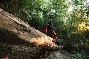 BIB: 
                            <button type="button" onclick="openModal(27941592)" class="btn btn-primary btn-sm float-right btn-popup" data-toggle="modal" data-target=".modal-high-quality">
                        <i class="fas fa-shopping-cart"></i> Add to Cart
                    </button>
                                            <button type="button" onclick="isThisMe(27941592, true)" class="btn btn-success btn-sm float-right btn-popup btn-isme hidden" data-toggle="tooltip" data-placement="bottom" title="นี่คือรูปของคุณใช่ไหม คลิกที่นี่เพื่อเอาเข้าอัลบั้ม">
                        <i class="fas fa-plus"></i> Add to album
                    </button>
                    <button type="button" onclick="isThisMe(27941592, false)" class="btn btn-warning btn-sm float-right btn-popup btn-isnotme hidden">
                        <i class="fas fa-ban"></i> Remove from album
                    </button>