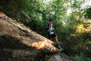 BIB: 
                            <button type="button" onclick="openModal(27942225)" class="btn btn-primary btn-sm float-right btn-popup" data-toggle="modal" data-target=".modal-high-quality">
                        <i class="fas fa-shopping-cart"></i> Add to Cart
                    </button>
                                            <button type="button" onclick="isThisMe(27942225, true)" class="btn btn-success btn-sm float-right btn-popup btn-isme hidden" data-toggle="tooltip" data-placement="bottom" title="นี่คือรูปของคุณใช่ไหม คลิกที่นี่เพื่อเอาเข้าอัลบั้ม">
                        <i class="fas fa-plus"></i> Add to album
                    </button>
                    <button type="button" onclick="isThisMe(27942225, false)" class="btn btn-warning btn-sm float-right btn-popup btn-isnotme hidden">
                        <i class="fas fa-ban"></i> Remove from album
                    </button>