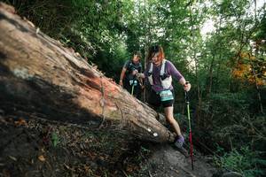 BIB: 
                            <button type="button" onclick="openModal(27958660)" class="btn btn-primary btn-sm float-right btn-popup" data-toggle="modal" data-target=".modal-high-quality">
                        <i class="fas fa-shopping-cart"></i> Add to Cart
                    </button>
                                            <button type="button" onclick="isThisMe(27958660, true)" class="btn btn-success btn-sm float-right btn-popup btn-isme hidden" data-toggle="tooltip" data-placement="bottom" title="นี่คือรูปของคุณใช่ไหม คลิกที่นี่เพื่อเอาเข้าอัลบั้ม">
                        <i class="fas fa-plus"></i> Add to album
                    </button>
                    <button type="button" onclick="isThisMe(27958660, false)" class="btn btn-warning btn-sm float-right btn-popup btn-isnotme hidden">
                        <i class="fas fa-ban"></i> Remove from album
                    </button>