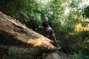 BIB: 
                            <button type="button" onclick="openModal(27941482)" class="btn btn-primary btn-sm float-right btn-popup" data-toggle="modal" data-target=".modal-high-quality">
                        <i class="fas fa-shopping-cart"></i> Add to Cart
                    </button>
                                            <button type="button" onclick="isThisMe(27941482, true)" class="btn btn-success btn-sm float-right btn-popup btn-isme hidden" data-toggle="tooltip" data-placement="bottom" title="นี่คือรูปของคุณใช่ไหม คลิกที่นี่เพื่อเอาเข้าอัลบั้ม">
                        <i class="fas fa-plus"></i> Add to album
                    </button>
                    <button type="button" onclick="isThisMe(27941482, false)" class="btn btn-warning btn-sm float-right btn-popup btn-isnotme hidden">
                        <i class="fas fa-ban"></i> Remove from album
                    </button>