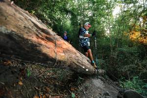 BIB: 
                            <button type="button" onclick="openModal(27958229)" class="btn btn-primary btn-sm float-right btn-popup" data-toggle="modal" data-target=".modal-high-quality">
                        <i class="fas fa-shopping-cart"></i> Add to Cart
                    </button>
                                            <button type="button" onclick="isThisMe(27958229, true)" class="btn btn-success btn-sm float-right btn-popup btn-isme hidden" data-toggle="tooltip" data-placement="bottom" title="นี่คือรูปของคุณใช่ไหม คลิกที่นี่เพื่อเอาเข้าอัลบั้ม">
                        <i class="fas fa-plus"></i> Add to album
                    </button>
                    <button type="button" onclick="isThisMe(27958229, false)" class="btn btn-warning btn-sm float-right btn-popup btn-isnotme hidden">
                        <i class="fas fa-ban"></i> Remove from album
                    </button>