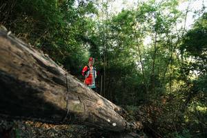 BIB: 
                            <button type="button" onclick="openModal(27935560)" class="btn btn-primary btn-sm float-right btn-popup" data-toggle="modal" data-target=".modal-high-quality">
                        <i class="fas fa-shopping-cart"></i> Add to Cart
                    </button>
                                            <button type="button" onclick="isThisMe(27935560, true)" class="btn btn-success btn-sm float-right btn-popup btn-isme hidden" data-toggle="tooltip" data-placement="bottom" title="นี่คือรูปของคุณใช่ไหม คลิกที่นี่เพื่อเอาเข้าอัลบั้ม">
                        <i class="fas fa-plus"></i> Add to album
                    </button>
                    <button type="button" onclick="isThisMe(27935560, false)" class="btn btn-warning btn-sm float-right btn-popup btn-isnotme hidden">
                        <i class="fas fa-ban"></i> Remove from album
                    </button>