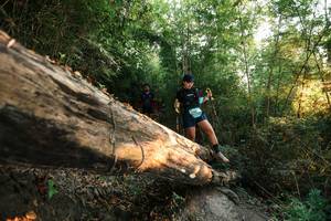 BIB: 
                            <button type="button" onclick="openModal(27941731)" class="btn btn-primary btn-sm float-right btn-popup" data-toggle="modal" data-target=".modal-high-quality">
                        <i class="fas fa-shopping-cart"></i> Add to Cart
                    </button>
                                            <button type="button" onclick="isThisMe(27941731, true)" class="btn btn-success btn-sm float-right btn-popup btn-isme hidden" data-toggle="tooltip" data-placement="bottom" title="นี่คือรูปของคุณใช่ไหม คลิกที่นี่เพื่อเอาเข้าอัลบั้ม">
                        <i class="fas fa-plus"></i> Add to album
                    </button>
                    <button type="button" onclick="isThisMe(27941731, false)" class="btn btn-warning btn-sm float-right btn-popup btn-isnotme hidden">
                        <i class="fas fa-ban"></i> Remove from album
                    </button>