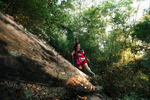 BIB: 
                            <button type="button" onclick="openModal(27937513)" class="btn btn-primary btn-sm float-right btn-popup" data-toggle="modal" data-target=".modal-high-quality">
                        <i class="fas fa-shopping-cart"></i> Add to Cart
                    </button>
                                            <button type="button" onclick="isThisMe(27937513, true)" class="btn btn-success btn-sm float-right btn-popup btn-isme hidden" data-toggle="tooltip" data-placement="bottom" title="นี่คือรูปของคุณใช่ไหม คลิกที่นี่เพื่อเอาเข้าอัลบั้ม">
                        <i class="fas fa-plus"></i> Add to album
                    </button>
                    <button type="button" onclick="isThisMe(27937513, false)" class="btn btn-warning btn-sm float-right btn-popup btn-isnotme hidden">
                        <i class="fas fa-ban"></i> Remove from album
                    </button>