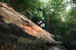 BIB: 
                            <button type="button" onclick="openModal(27958153)" class="btn btn-primary btn-sm float-right btn-popup" data-toggle="modal" data-target=".modal-high-quality">
                        <i class="fas fa-shopping-cart"></i> Add to Cart
                    </button>
                                            <button type="button" onclick="isThisMe(27958153, true)" class="btn btn-success btn-sm float-right btn-popup btn-isme hidden" data-toggle="tooltip" data-placement="bottom" title="นี่คือรูปของคุณใช่ไหม คลิกที่นี่เพื่อเอาเข้าอัลบั้ม">
                        <i class="fas fa-plus"></i> Add to album
                    </button>
                    <button type="button" onclick="isThisMe(27958153, false)" class="btn btn-warning btn-sm float-right btn-popup btn-isnotme hidden">
                        <i class="fas fa-ban"></i> Remove from album
                    </button>