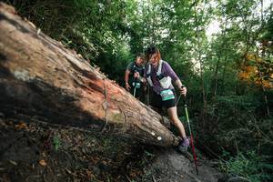 BIB: 
                            <button type="button" onclick="openModal(27958666)" class="btn btn-primary btn-sm float-right btn-popup" data-toggle="modal" data-target=".modal-high-quality">
                        <i class="fas fa-shopping-cart"></i> Add to Cart
                    </button>
                                            <button type="button" onclick="isThisMe(27958666, true)" class="btn btn-success btn-sm float-right btn-popup btn-isme hidden" data-toggle="tooltip" data-placement="bottom" title="นี่คือรูปของคุณใช่ไหม คลิกที่นี่เพื่อเอาเข้าอัลบั้ม">
                        <i class="fas fa-plus"></i> Add to album
                    </button>
                    <button type="button" onclick="isThisMe(27958666, false)" class="btn btn-warning btn-sm float-right btn-popup btn-isnotme hidden">
                        <i class="fas fa-ban"></i> Remove from album
                    </button>