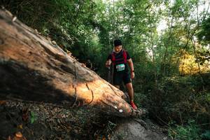 BIB: 
                            <button type="button" onclick="openModal(27947564)" class="btn btn-primary btn-sm float-right btn-popup" data-toggle="modal" data-target=".modal-high-quality">
                        <i class="fas fa-shopping-cart"></i> Add to Cart
                    </button>
                                            <button type="button" onclick="isThisMe(27947564, true)" class="btn btn-success btn-sm float-right btn-popup btn-isme hidden" data-toggle="tooltip" data-placement="bottom" title="นี่คือรูปของคุณใช่ไหม คลิกที่นี่เพื่อเอาเข้าอัลบั้ม">
                        <i class="fas fa-plus"></i> Add to album
                    </button>
                    <button type="button" onclick="isThisMe(27947564, false)" class="btn btn-warning btn-sm float-right btn-popup btn-isnotme hidden">
                        <i class="fas fa-ban"></i> Remove from album
                    </button>