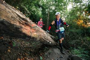 BIB: 
                            <button type="button" onclick="openModal(27958394)" class="btn btn-primary btn-sm float-right btn-popup" data-toggle="modal" data-target=".modal-high-quality">
                        <i class="fas fa-shopping-cart"></i> Add to Cart
                    </button>
                                            <button type="button" onclick="isThisMe(27958394, true)" class="btn btn-success btn-sm float-right btn-popup btn-isme hidden" data-toggle="tooltip" data-placement="bottom" title="นี่คือรูปของคุณใช่ไหม คลิกที่นี่เพื่อเอาเข้าอัลบั้ม">
                        <i class="fas fa-plus"></i> Add to album
                    </button>
                    <button type="button" onclick="isThisMe(27958394, false)" class="btn btn-warning btn-sm float-right btn-popup btn-isnotme hidden">
                        <i class="fas fa-ban"></i> Remove from album
                    </button>