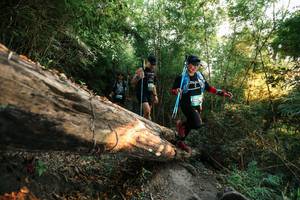 BIB: 
                            <button type="button" onclick="openModal(27942433)" class="btn btn-primary btn-sm float-right btn-popup" data-toggle="modal" data-target=".modal-high-quality">
                        <i class="fas fa-shopping-cart"></i> Add to Cart
                    </button>
                                            <button type="button" onclick="isThisMe(27942433, true)" class="btn btn-success btn-sm float-right btn-popup btn-isme hidden" data-toggle="tooltip" data-placement="bottom" title="นี่คือรูปของคุณใช่ไหม คลิกที่นี่เพื่อเอาเข้าอัลบั้ม">
                        <i class="fas fa-plus"></i> Add to album
                    </button>
                    <button type="button" onclick="isThisMe(27942433, false)" class="btn btn-warning btn-sm float-right btn-popup btn-isnotme hidden">
                        <i class="fas fa-ban"></i> Remove from album
                    </button>